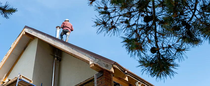 Birds Removal Contractors from Chimney in Culpeper, VA